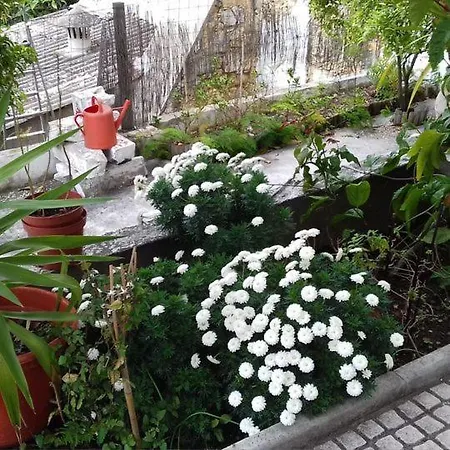 アパート Tonic Flat *