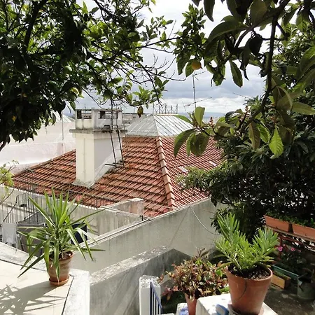 Tonic Flat アパート リスボン